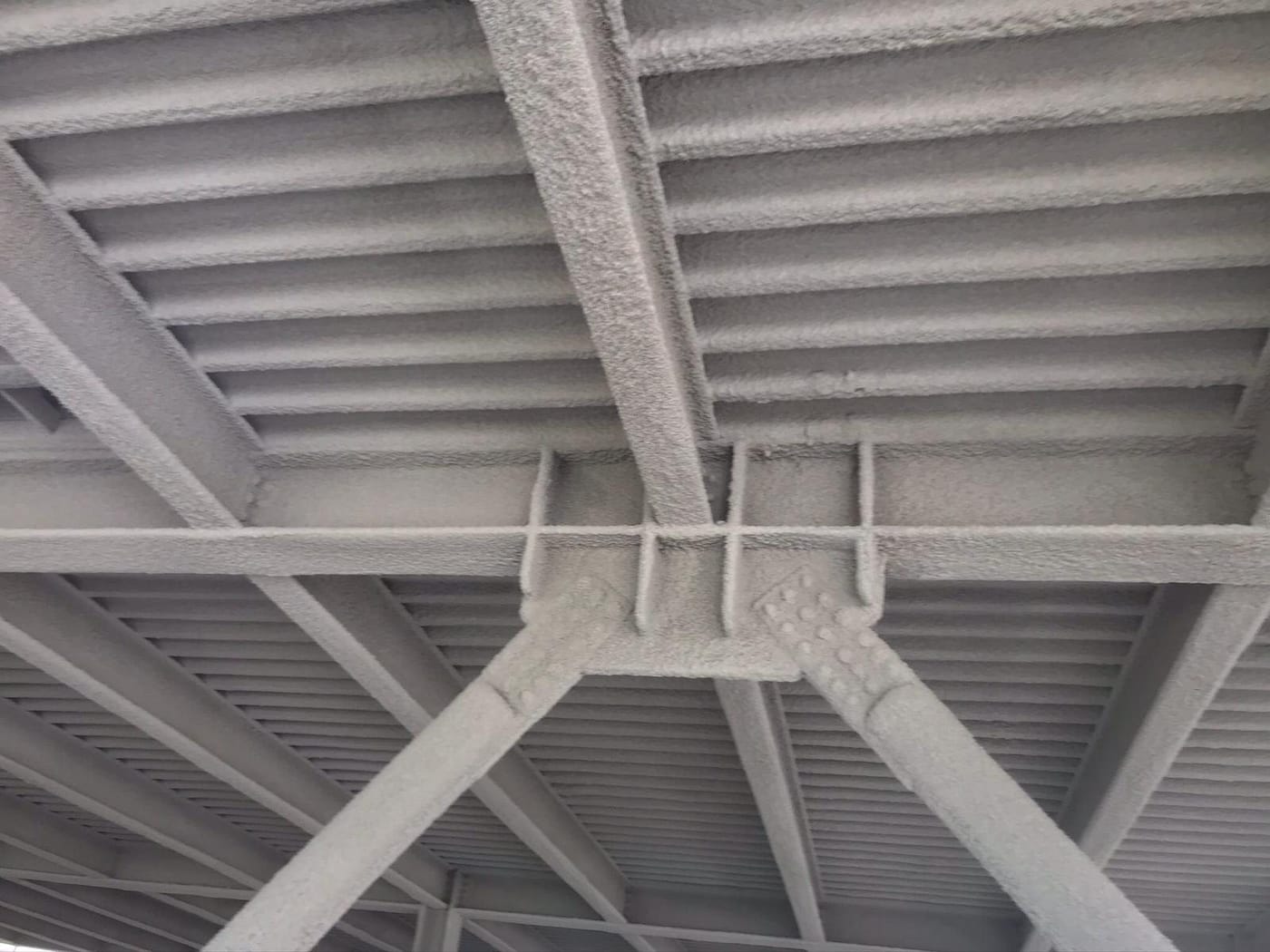 Struttura in acciaio protetta con Protherm Light (Università di Camerino)
